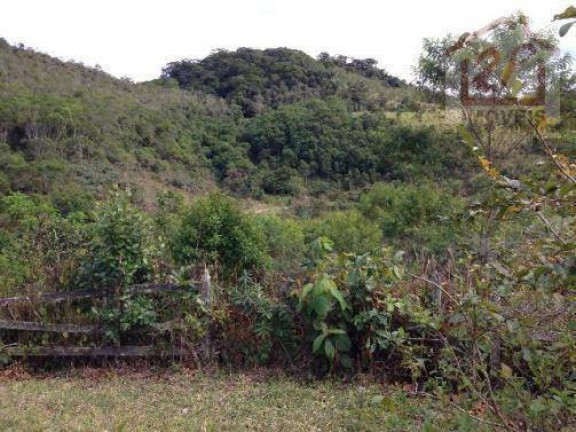 Imagem Fazenda à Venda, 1.089.000 m² em Pouso Alto - Natividade Da Serra Imagem Fazenda à Venda, 1.089.000 m² em Pouso Alto - Natividade Da Serra