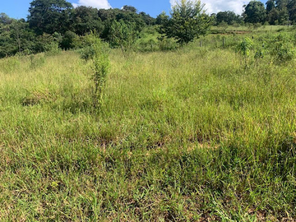 Imagem Terreno à Venda, 1.000 m² em Suzana - Brumadinho Imagem Terreno à Venda, 1.000 m² em Suzana - Brumadinho