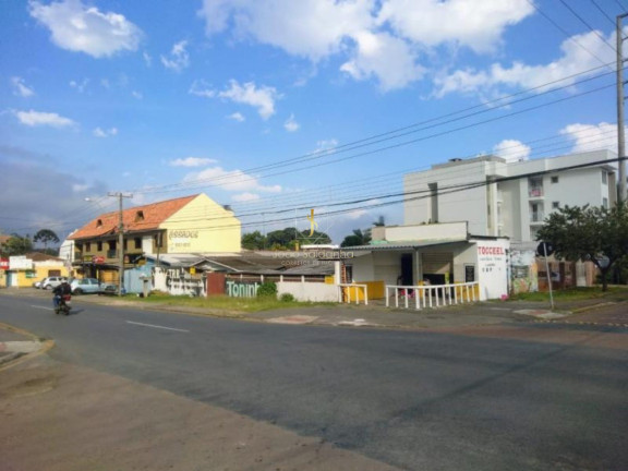 Imagem Terreno à Venda, 360 m² em Boneca Do Iguaçu - São José Dos Pinhais