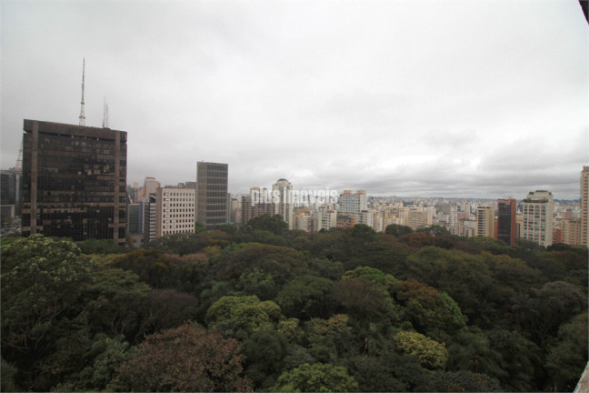 Imagem Apartamento com 4 Quartos à Venda, 220 m² em Bela Vista - São Paulo