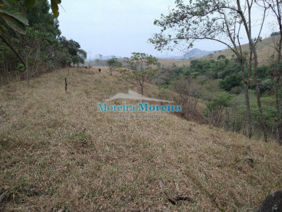 Imagem Imóvel à Venda, 5 m² em Zona Rural - Borda Da Mata Imagem Imóvel à Venda, 5 m² em Zona Rural - Borda Da Mata