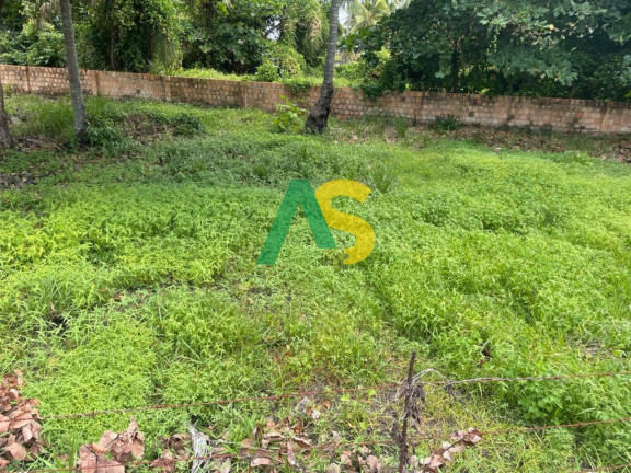Imagem Terreno à Venda, 836 m² em Praia De Aver O Mar - Sirinhaém