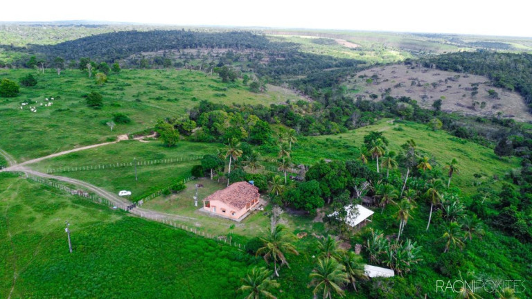Imagem Fazenda à Venda, 7.140.000 m² em Zona Rural - Cardeal Da Silva Imagem Fazenda à Venda, 7.140.000 m² em Zona Rural - Cardeal Da Silva