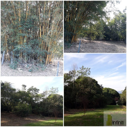 Imagem Imóvel à Venda, 1.000 m² em Itaboraí - Rio De Janeiro Imagem Imóvel à Venda, 1.000 m² em Itaboraí - Rio De Janeiro