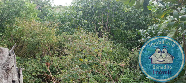 Imagem Terreno à Venda, 2.500 m² em Praia Do Mutá - Santa Cruz Cabrália Imagem Terreno à Venda, 2.500 m² em Praia Do Mutá - Santa Cruz Cabrália