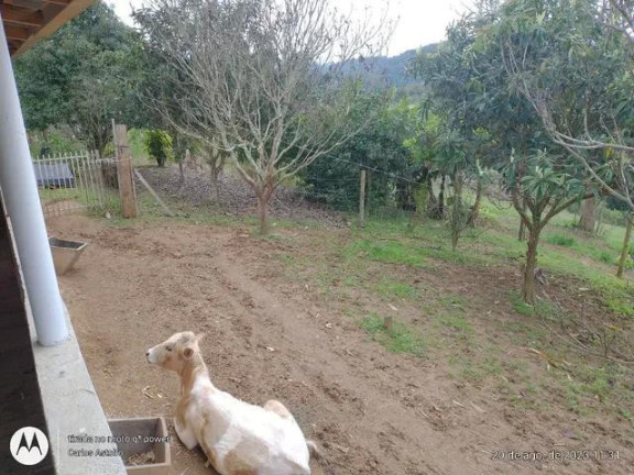 Imagem Imóvel com 4 Quartos à Venda, 22.000 m² em Areia Branca Dos Assis - Mandirituba
