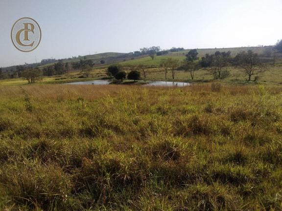 Imagem Chácara com 4 Quartos à Venda, 500 m² em Centro - Caçapava Imagem Chácara com 4 Quartos à Venda, 500 m² em Centro - Caçapava