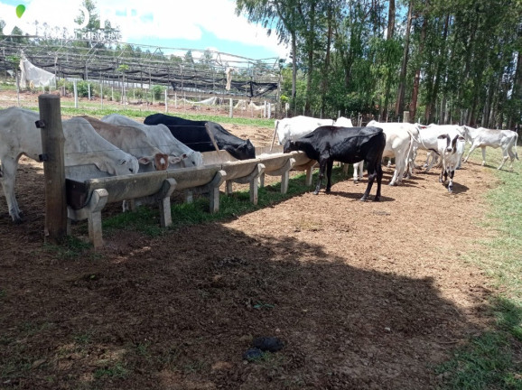 Imagem Imóvel com 1 Quarto à Venda, 1.137.400 m² em Centro - Paranapanema