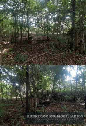 Imagem Terreno à Venda, 5.264 m² em Comunidade De Antonio Olinto - Montes Claros Imagem Terreno à Venda, 5.264 m² em Comunidade De Antonio Olinto - Montes Claros