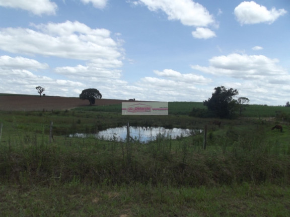 Imagem Chácara com 3 Quartos à Venda, 24 m² em Parque árvores - Boituva Imagem Chácara com 3 Quartos à Venda, 24 m² em Parque árvores - Boituva