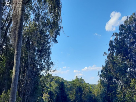 Terreno à Venda, 13.823 m² em Linha Olinda - Nova Petrópolis