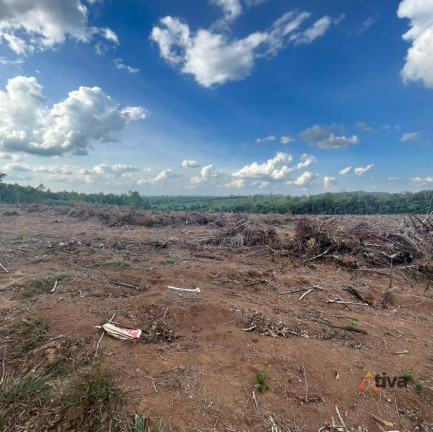 Imagem Terreno à Venda, 20.000 m² Imagem Terreno à Venda, 20.000 m²