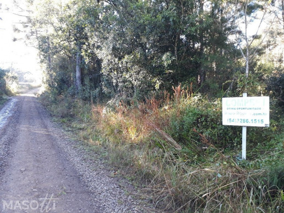 Imagem Chácara à Venda, 30.000 m² em Linha 15 De Novembro - Gramado Imagem Chácara à Venda, 30.000 m² em Linha 15 De Novembro - Gramado