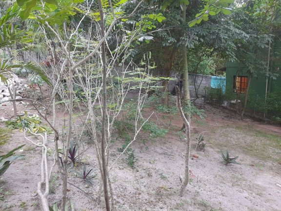 Imagem Terreno em Condomínio à Venda, 118 m² em Tibau Do Sul Imagem Terreno em Condomínio à Venda, 118 m² em Tibau Do Sul