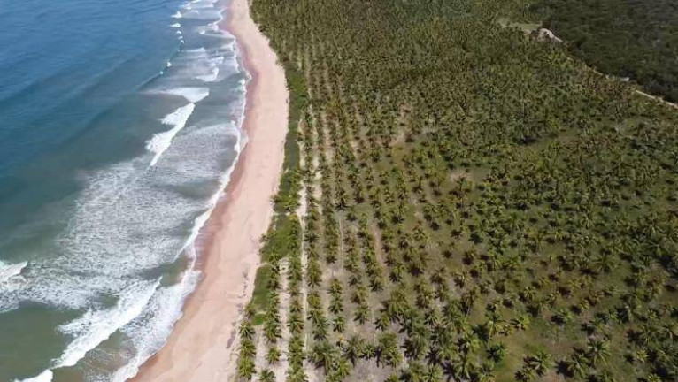 Terreno à Venda,  em Ponta Da Folha - Marau
