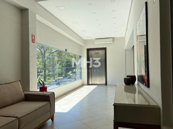 Imagem Sala Comercial para Alugar, 376 m² em Nova Campinas - Campinas Imagem Sala Comercial para Alugar, 376 m² em Nova Campinas - Campinas