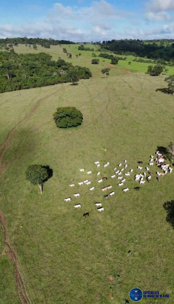 Imagem Fazenda à Venda, 34 m² em Zona Rural - Anicuns Imagem Fazenda à Venda, 34 m² em Zona Rural - Anicuns