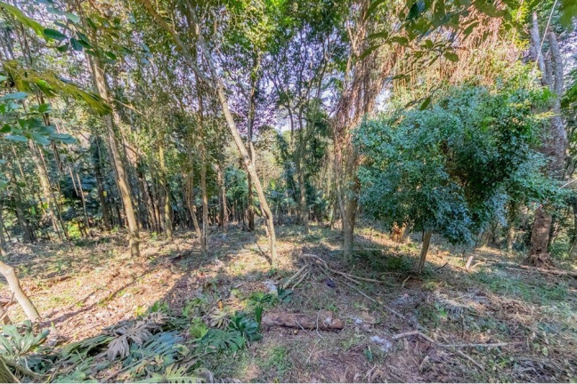 Imagem Terreno à Venda, 5.339 m² em Condomínio Iolanda - Taboão Da Serra