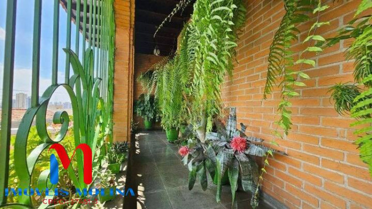 Imagem Casa com 5 Quartos à Venda, 761 m² em Osvaldo Cruz - São Caetano Do Sul Imagem Casa com 5 Quartos à Venda, 761 m² em Osvaldo Cruz - São Caetano Do Sul