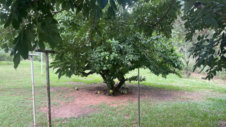 Imagem Imóvel com 3 Quartos à Venda, 290 m² em Parque Santa Cândida - Bauru