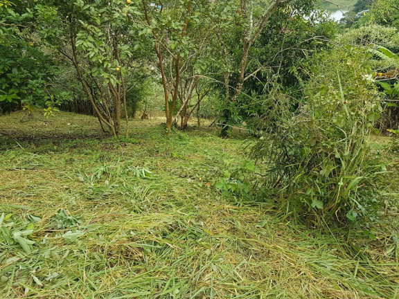 Imagem Imóvel à Venda, em Redenção Da Serra Imagem Imóvel à Venda, em Redenção Da Serra