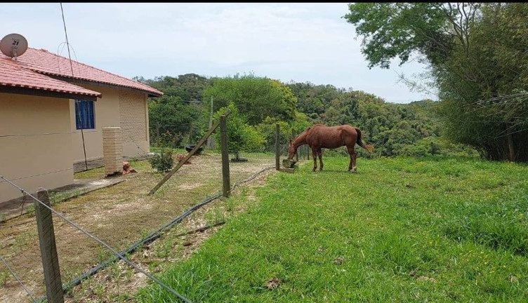Imagem Chácara com 2 Quartos à Venda, 181 m² em Varginha - Itapetininga Imagem Chácara com 2 Quartos à Venda, 181 m² em Varginha - Itapetininga