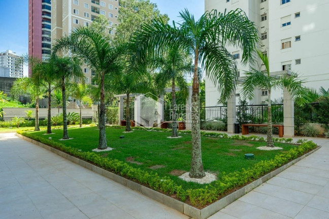 Imagem Apartamento com 2 Quartos à Venda, 64 m² em Vila Andrade - São Paulo Imagem Apartamento com 2 Quartos à Venda, 64 m² em Vila Andrade - São Paulo