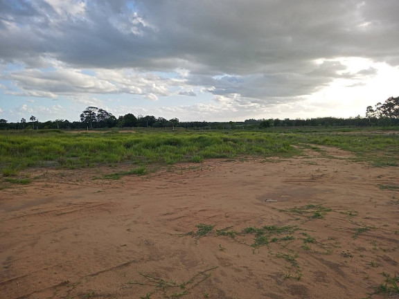 Imagem Chácara à Venda, 20.000 m² em águas Claras - Viamão Imagem Chácara à Venda, 20.000 m² em águas Claras - Viamão