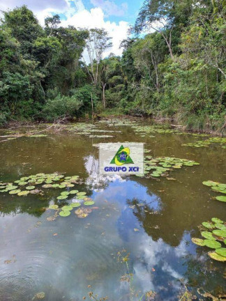 Imagem Fazenda à Venda, 2.560.000 m² em Zona Rural - São Tiago Imagem Fazenda à Venda, 2.560.000 m² em Zona Rural - São Tiago