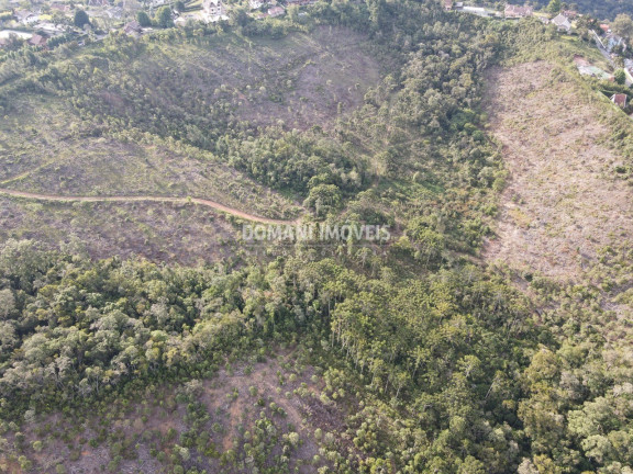 Imagem Imóvel à Venda, em Região Do Alto Do Capivari - Campos Do Jordão Imagem Imóvel à Venda, em Região Do Alto Do Capivari - Campos Do Jordão
