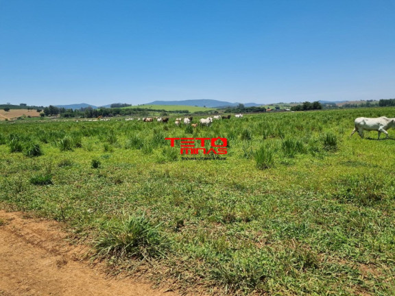 Imagem Imóvel à Venda, 175 m² em área Rural De Pouso Alegre - Pouso Alegre Imagem Imóvel à Venda, 175 m² em área Rural De Pouso Alegre - Pouso Alegre