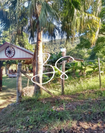 Imagem Imóvel com 3 Quartos à Venda, 10.000 m² em Estrada Geral - Igrejinha