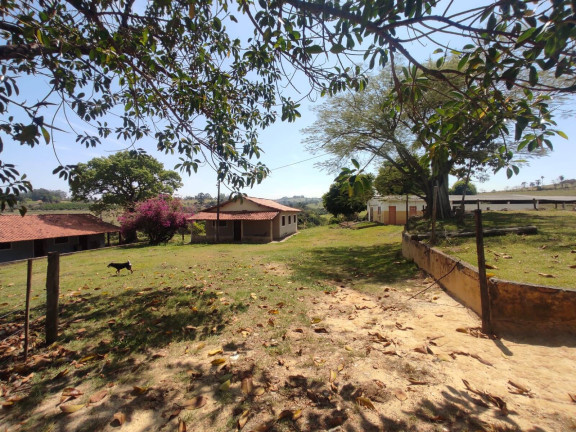 Imagem Chácara com 4 Quartos à Venda, 242 m² em Cercadinho - Alambari