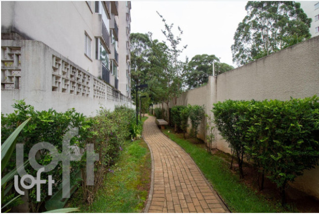 Imagem Apartamento com 3 Quartos à Venda, 67 m² em Jardim Celeste - São Paulo Imagem Apartamento com 3 Quartos à Venda, 67 m² em Jardim Celeste - São Paulo