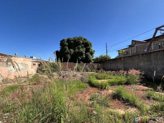 Terreno à Venda, 465 m² em São Francisco - Patos De Minas