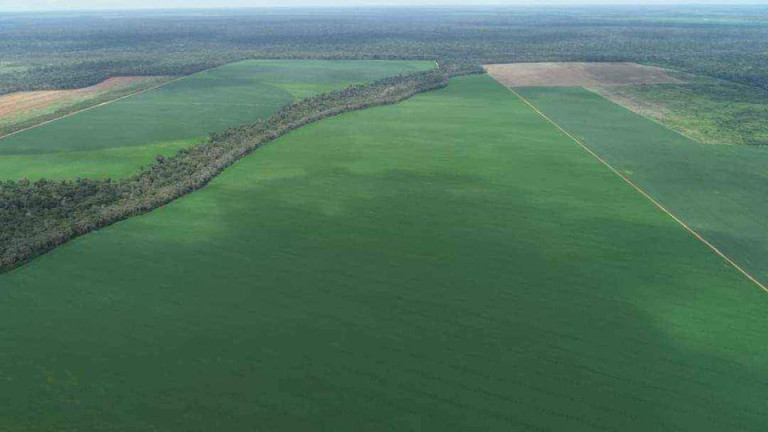 Imagem Fazenda à Venda, 510 m² em Zona Rural - Ipiranga Do Norte Imagem Fazenda à Venda, 510 m² em Zona Rural - Ipiranga Do Norte