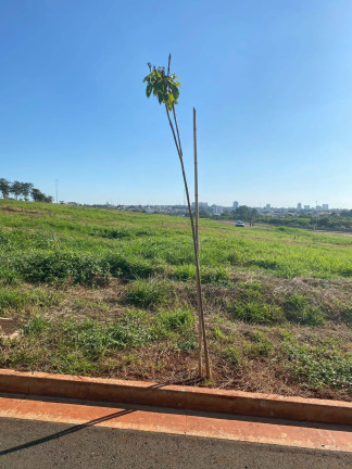Imagem Terreno à Venda, 490 m² em Parque Industrial Tânia Maria Covalenco - Nova Odessa Imagem Terreno à Venda, 490 m² em Parque Industrial Tânia Maria Covalenco - Nova Odessa