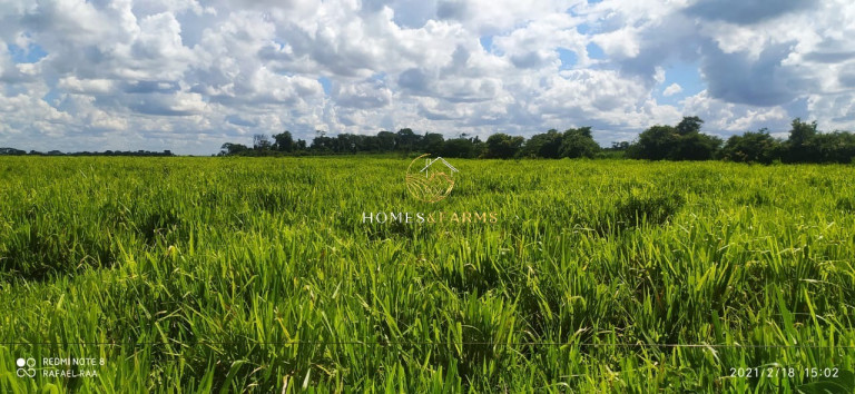 Imagem Imóvel com 3 Quartos à Venda, 423 m² em Zona Rural - Turvelândia Imagem Imóvel com 3 Quartos à Venda, 423 m² em Zona Rural - Turvelândia