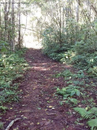 Imagem Terreno à Venda, em Linha Pirajá - Nova Petrópolis Imagem Terreno à Venda, em Linha Pirajá - Nova Petrópolis