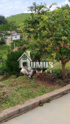 Imagem Fazenda à Venda, 1.500 m² em Fábrica - São Luiz Do Paraitinga