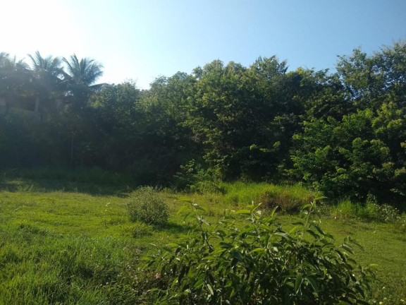 Imagem Imóvel à Venda, 874 m² em Palmeiras - Guaraparia Imagem Imóvel à Venda, 874 m² em Palmeiras - Guaraparia