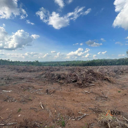 Imagem Terreno à Venda, 20.000 m² Imagem Terreno à Venda, 20.000 m²