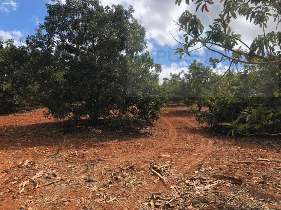 Imagem Chácara à Venda, 2.000 m² em Serra Azul Imagem Chácara à Venda, 2.000 m² em Serra Azul