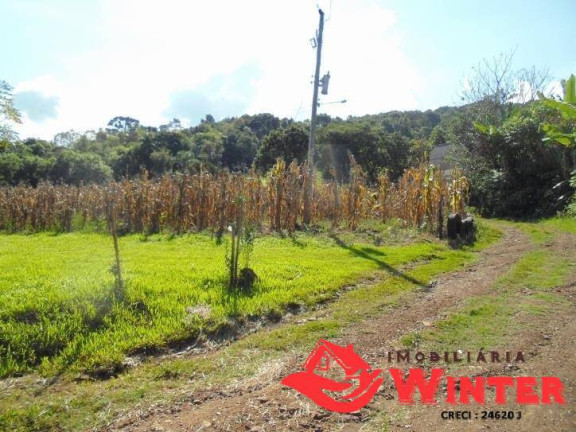Imagem Chácara com 3 Quartos à Venda, 150 m² em Morro Gaúcho - Vale Real Imagem Chácara com 3 Quartos à Venda, 150 m² em Morro Gaúcho - Vale Real