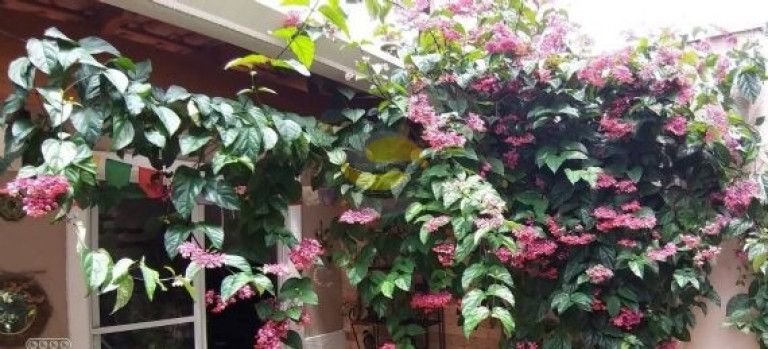 Imagem Casa de Condomínio com 3 Quartos à Venda, 120 m² em Jardim Colibri - Cotia Imagem Casa de Condomínio com 3 Quartos à Venda, 120 m² em Jardim Colibri - Cotia