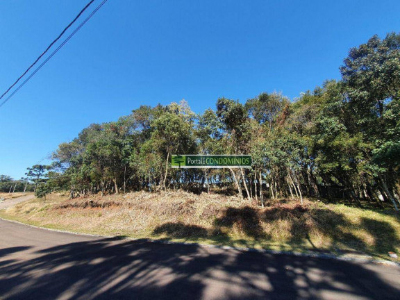 Imagem Terreno à Venda, 2.408 m² em Orleans - Curitiba Imagem Terreno à Venda, 2.408 m² em Orleans - Curitiba