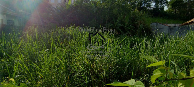 Imagem Terreno à Venda, 337 m² em Massaguaçu - Caraguatatuba