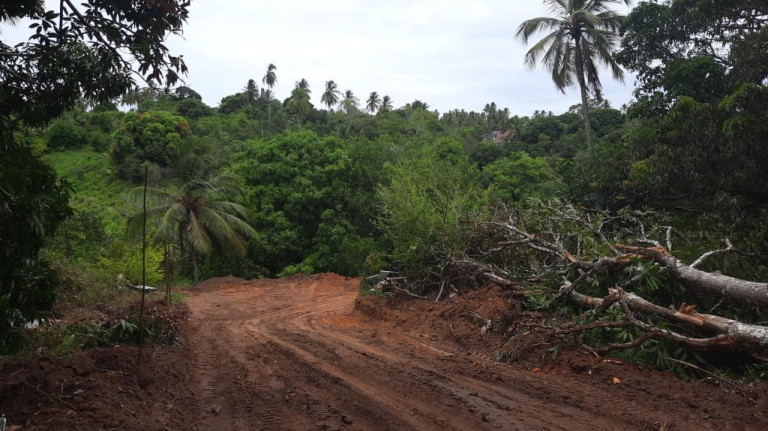 Imagem Terreno à Venda, 300 m² em Barra Do Pojuca (monte Gordo) - Camaçari