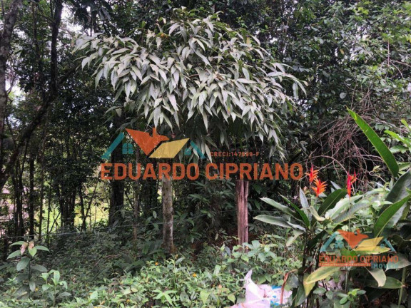 Imagem Terreno à Venda, 270 m² em Massaguaçu - Caraguatatuba Imagem Terreno à Venda, 270 m² em Massaguaçu - Caraguatatuba