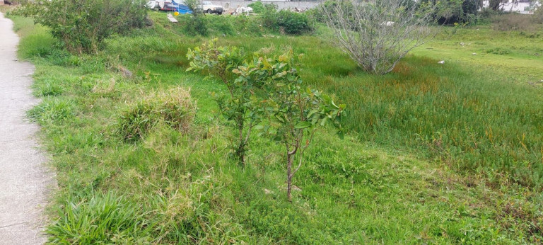 Imagem Terreno à Venda, 2.458 m² em Vargem Grande - Florianópolis Imagem Terreno à Venda, 2.458 m² em Vargem Grande - Florianópolis